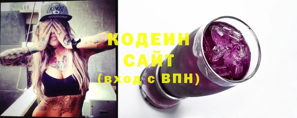 прущий лед Алзамай