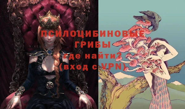крисы Абаза